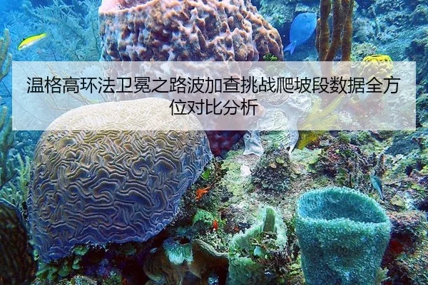 wen-ge-gao-huan-fa-wei-mian-zhi-lu-bo-jia-cha-tiao-zhan-pa-po-duan-shu-ju-quan-fang-wei-dui-bi-fen-xi-2-865.jpg